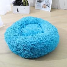 Load image into Gallery viewer, Dog Sleeping Donut
