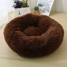 Load image into Gallery viewer, Dog Sleeping Donut