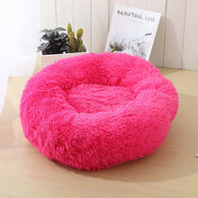Load image into Gallery viewer, Dog Sleeping Donut