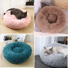 Load image into Gallery viewer, Dog Sleeping Donut