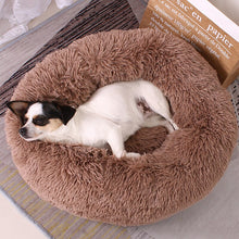 Load image into Gallery viewer, Dog Sleeping Donut