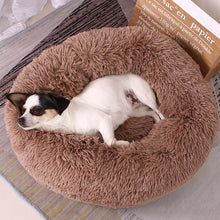 Load image into Gallery viewer, Dog Sleeping Donut
